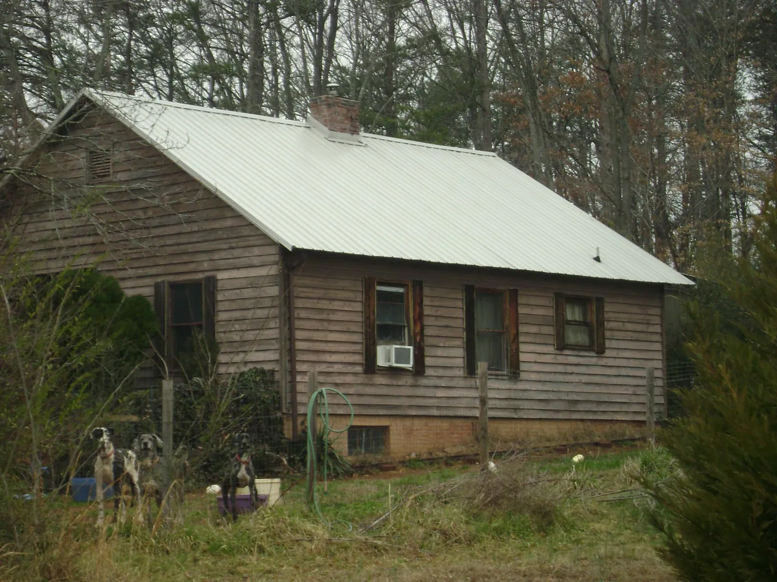 White metal roof on an old wood sided farmhouse, from a Asphalt Shingle Roof Repair job in La Plume